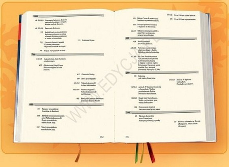 Biblia Edycja Świętego Pawła duża twarda szara