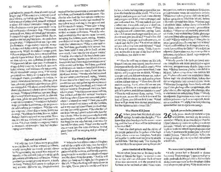 Nowy Testament angielsko-polski ESV Przekład ekumeniczny z języków oryginalnych - oprawa twarda