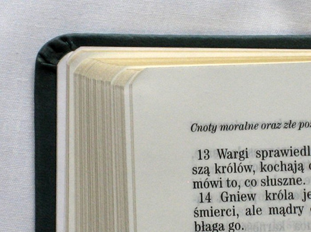 Nowy Testament z księgami Psalmów i Przysłów UBG - oprawa PU ekoskóra brąz