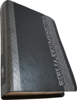 Biblia Ekumeniczna bez ksiąg Deuterokanonicznych srebrne brzegi kartek szara MK