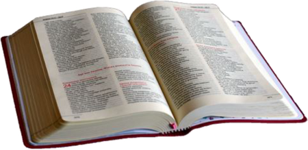 Biblia dla kobiet Edycji Świętego Pawła oprawa różowa