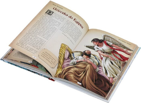 Biblia. Historia naszego zbawienia - oprawa twarda