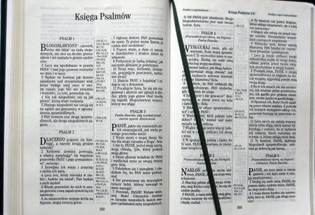 Nowy Testament z księgami Psalmów i Przysłów UBG - oprawa PU ekoskóra brąz