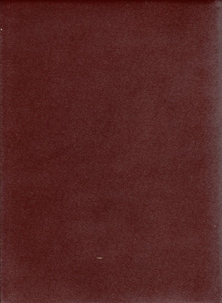 Nowa Biblia Gdańska NBG zamek skóra index brąz