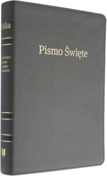 Biblia Stare i Nowe Przymierze EIB Liga Biblijna duża ekoskóra PU złoto grafit