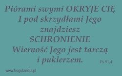 Magnes 53 na lodówkę Piórami swymi OKRYJE CIĘ