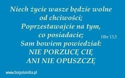 Magnes 51 na lodówkę Niech życie wasze będzie wolne