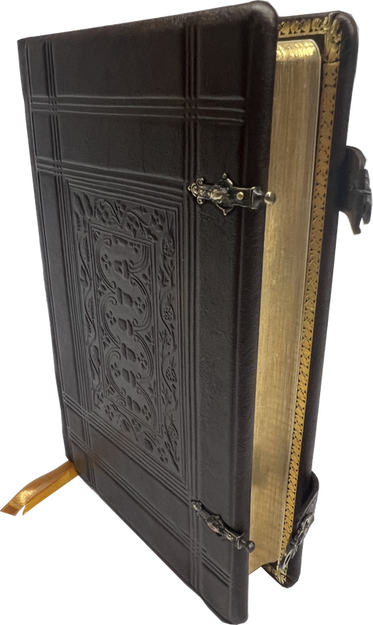 Uwspółcześniona Biblia Gdańska UBG F1 średnia skórzana ekskluzywna oprawa ze złoceniami zapinki