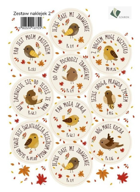 Zestaw naklejek 2 - ptaszki
