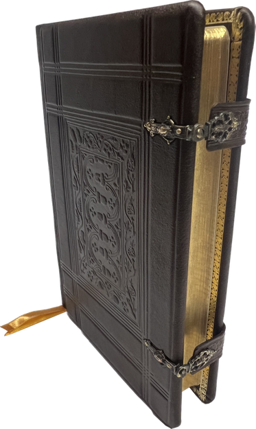 Uwspółcześniona Biblia Gdańska UBG F1 średnia skórzana ekskluzywna oprawa ze złoceniami zapinki