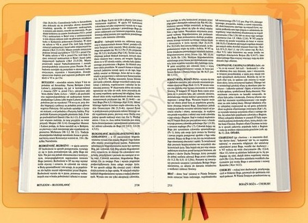 Biblia Edycja Świętego Pawła duża twarda brązowa