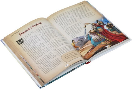 Biblia. Historia naszego zbawienia - oprawa twarda