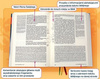 Biblia Edycja Świętego Pawła duża twarda szara