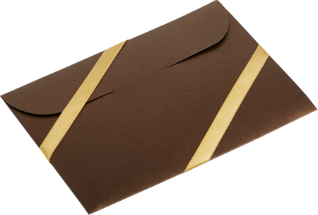 Biblia Audio - Superprodukcja - Aplikacja (dożywotnia) Biblia Audio Koperta brązowa