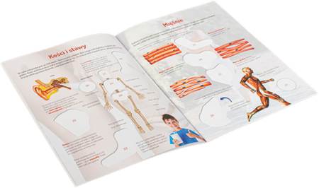 Naklejki edukacyjne Ciało człowieka - Agnieszka Bemacka