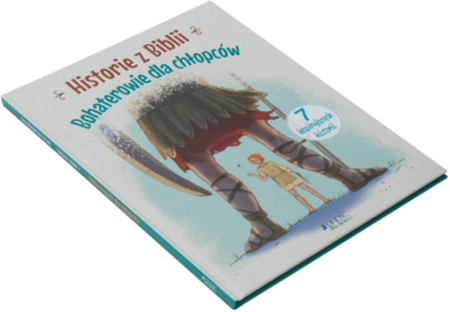 Historie z Biblii Bohaterowie dla chłopców 7 inspirujących historii - oprawa twarda