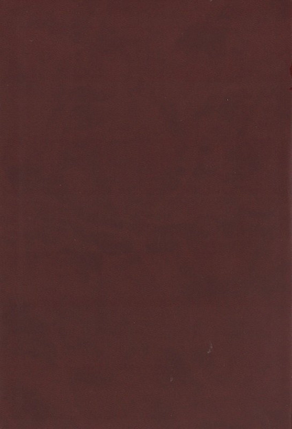 Nowy Testament z księgami Psalmów i Przysłów UBG - oprawa PU ekoskóra bordo